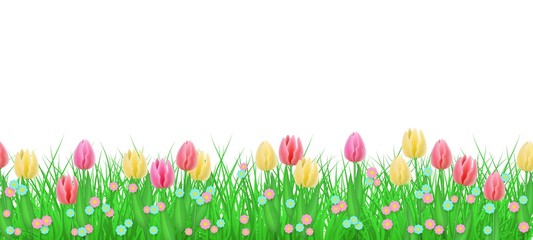 Green meadow grass, tulip flowers border frame, template on isolated background. Spring summer sale template for retail poster and advertising design wtih text space. Vector illustration