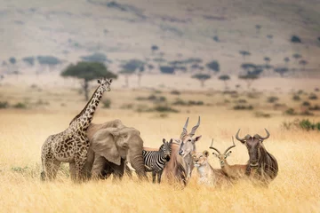 Fotobehang Beige Afrikaanse safaridieren in dromerige Kenia-scène