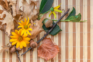 Bamboo mat and autumn flowers and leaves