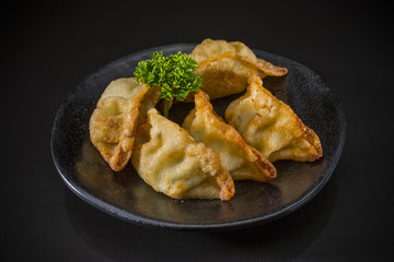 Japanese dumplings snack or side dish called Gyoza or Jiaozi in China