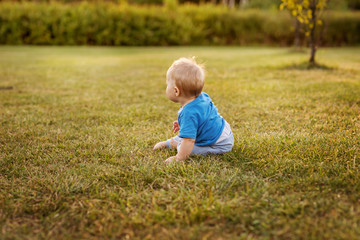 Naklejka na ściany i meble Baby first year life fun crawling on the grass.