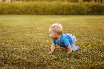 Naklejka na ściany i meble Baby first year life fun crawling on the grass.