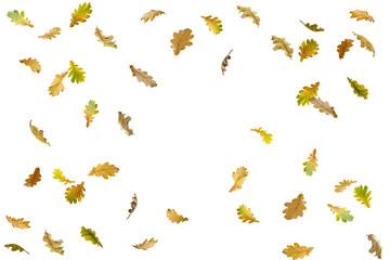Obraz premium border frame of colorful autumn leaves isolated on white