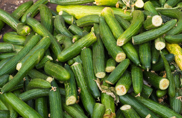 cucumber waste