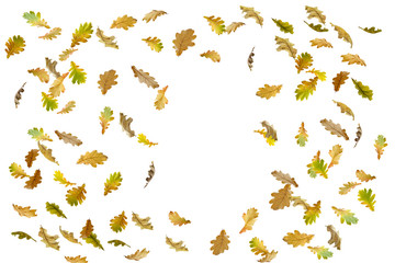 border frame of colorful autumn leaves isolated on white