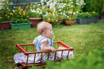 The baby is sitting in a wooden cart in the summer garden.