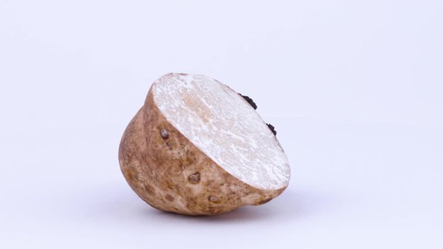 One half of a white truffle and one half of a black truffle. Rotating on the on the turntable. Isolated on the white background. Closeup. Macro.