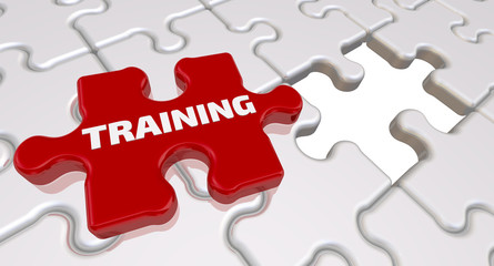 Training. The inscription on the missing element of the puzzle. Folded white puzzles elements and one red with text TRAINING. 3D Illustration