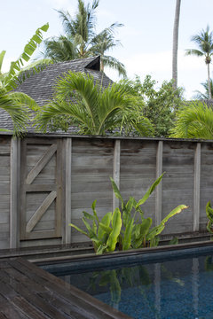 Fenced swimming pool in the tropics