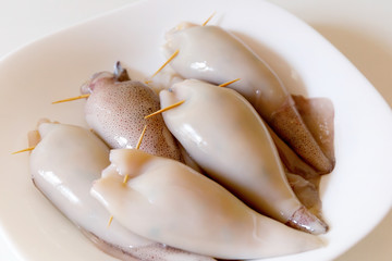 Stuffed squid prepared raw. Stuffed squid prepared before cooking. photographed in the studio on a white plate. Raw.