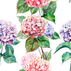 Beautiful bright elegant autumn wonderful colorful tender gentle pink herbal floral hydrangea flowers with green leaves pattern watercolor hand illustration
