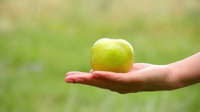 Close-up of a green Apple lying on the female hand. Girl holding an Apple in the orchard.