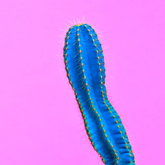Fashion Neon tropical Cactus in Blue Color. Minimal Trendy stillife on Purple Design background. Surrealism.