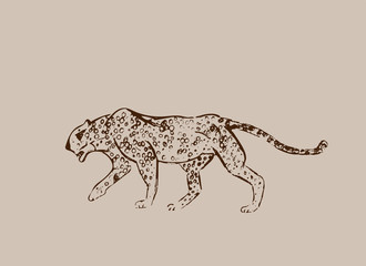 Cheetah. Hand drawn ink sketch. Horizontal drawing. Vector engraving. Predator line art. Brown line illustration isolated on light beige background. Safari concept.