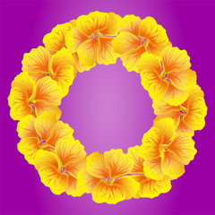 Nasturtium wreath. Wild Yellow flowers. Beautiful Floral circle isolated on bright pink background. Vector illustration.Card template for greeting, invitation and other design. Decorative round frame.