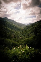 Naklejka premium Smoky Mountains Portrait