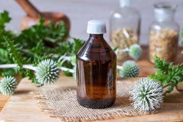 A bottle of great globe-thistle tincture with blooming great globe-thistle