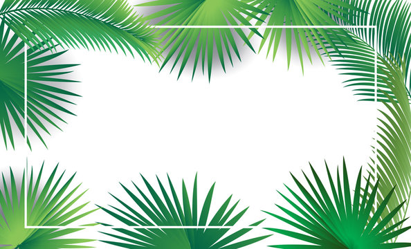 Tropical palm leaves frame, copy space, greenery, leafs, decoration. Vector illustration