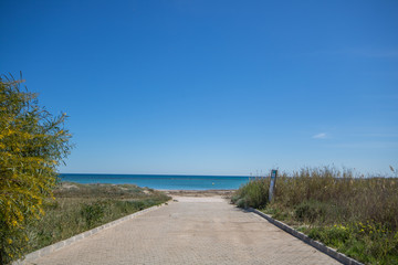 Road ending in sandy beach with clear water and blue sky