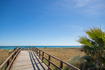 Fototapeta na wymiar Wooden path over natural environment with blue sea and clear sky in the background on a summer day