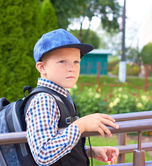 A small schoolboy goes to school.