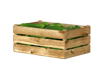 Wooden box full of cucumbers. Isolated on white background.