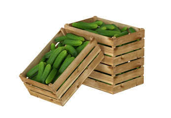 Wooden box full of cucumbers. Isolated on white background.