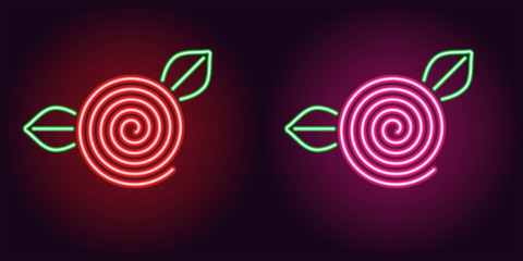 Neon Rose flower in red and pink color