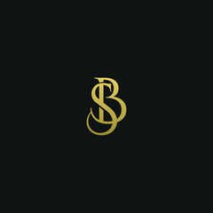 Unique modern elegant BS black and gold color initial based letter icon logo