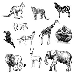 Set of hand drawn sketch style animals isolated on white background. Vector illustration.