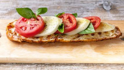 Sandwich with tomatoes, mozzarella, basil leaves and spices. Food banner