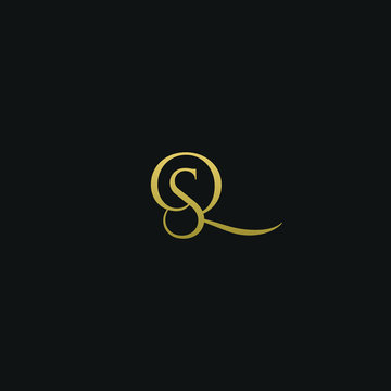 Unique modern elegant QS black and gold color initial based letter icon logo