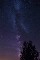 Fototapeta premium The milky way and stars with a farm lights and a treeline in the foreground.