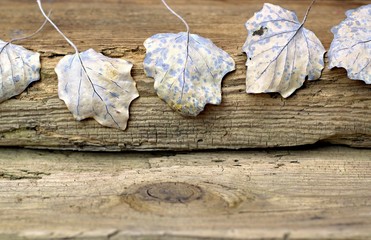 Autumn background concept- close-up leaves on the background of old brown boards and copy space.