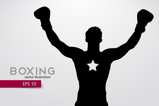 Boxing silhouette. Boxing. Vector illustration