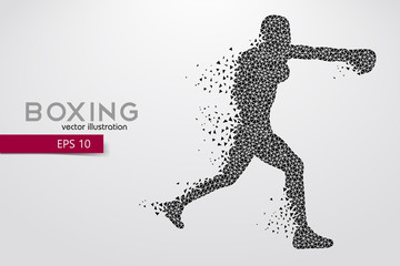 Boxing silhouette. Boxing. Vector illustration