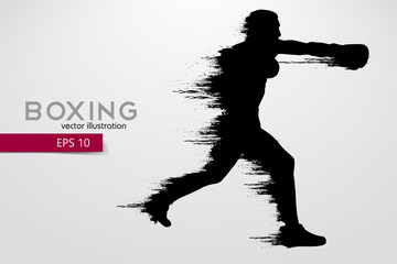 Boxing silhouette. Boxing. Vector illustration