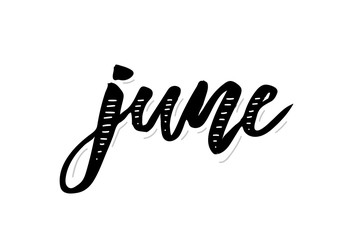June Calligraphy Lettering Day Month Vector Brush