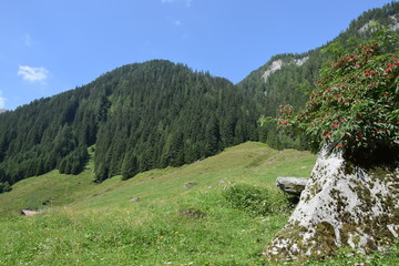 landscape in austria