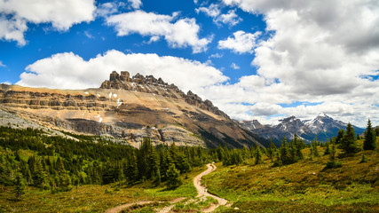 Mountain view LDolomite Pass Banff National PArk