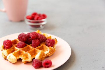 Traditional belgian waffle with raspberries on pink plate over gray background, side view. Closeup.