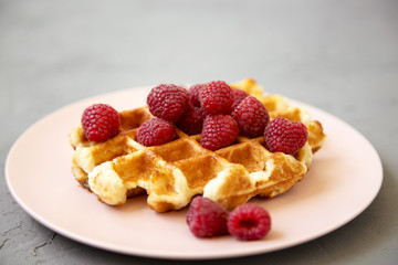 Traditional belgian waffle with raspberries on pink plate over concrete background, side view. Closeup.