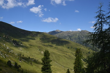 Fototapeta premium landscape in austia