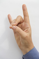Turkish Nationalist movement party hand symbol aka wolf head