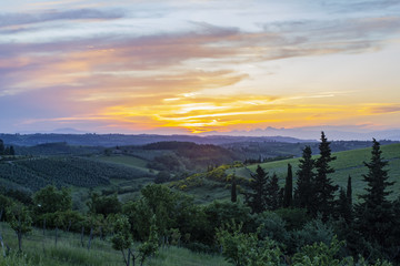 Traditional countryside and landscapes of beautiful Tuscany. Vineyards in Italy 