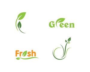 Leaf Logo Template