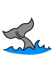 wellen flosse grauwal blauwal pottwal buckelwal wal meeressäuger groß riesig fisch schwimmen meer see tauchen