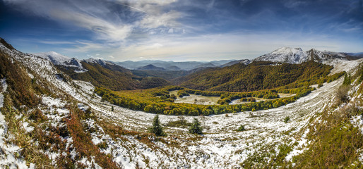 Gniazdo Tarnicy