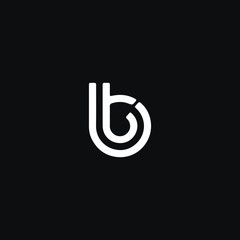 Unique modern trendy BT black and white color initial based icon logo.