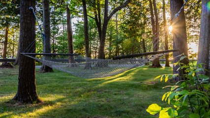 Sunny Hammock in the Trees